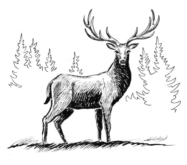 elk tattoo ideas 0047