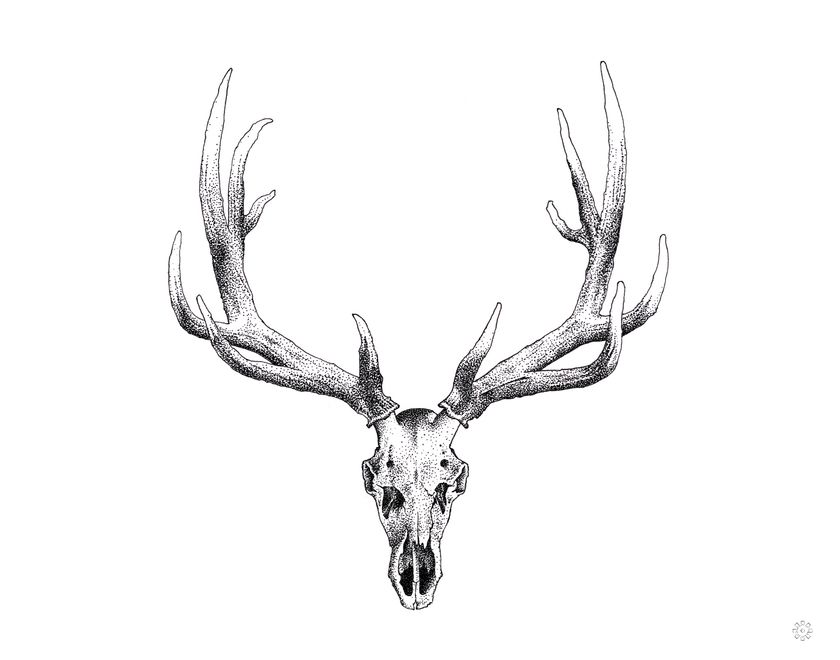 elk tattoo ideas 0049