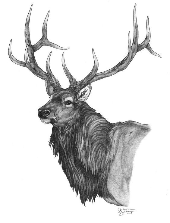 elk tattoo ideas 0052