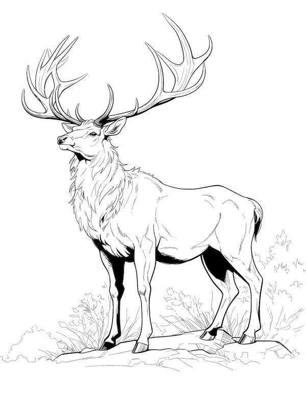 elk tattoo ideas 0058