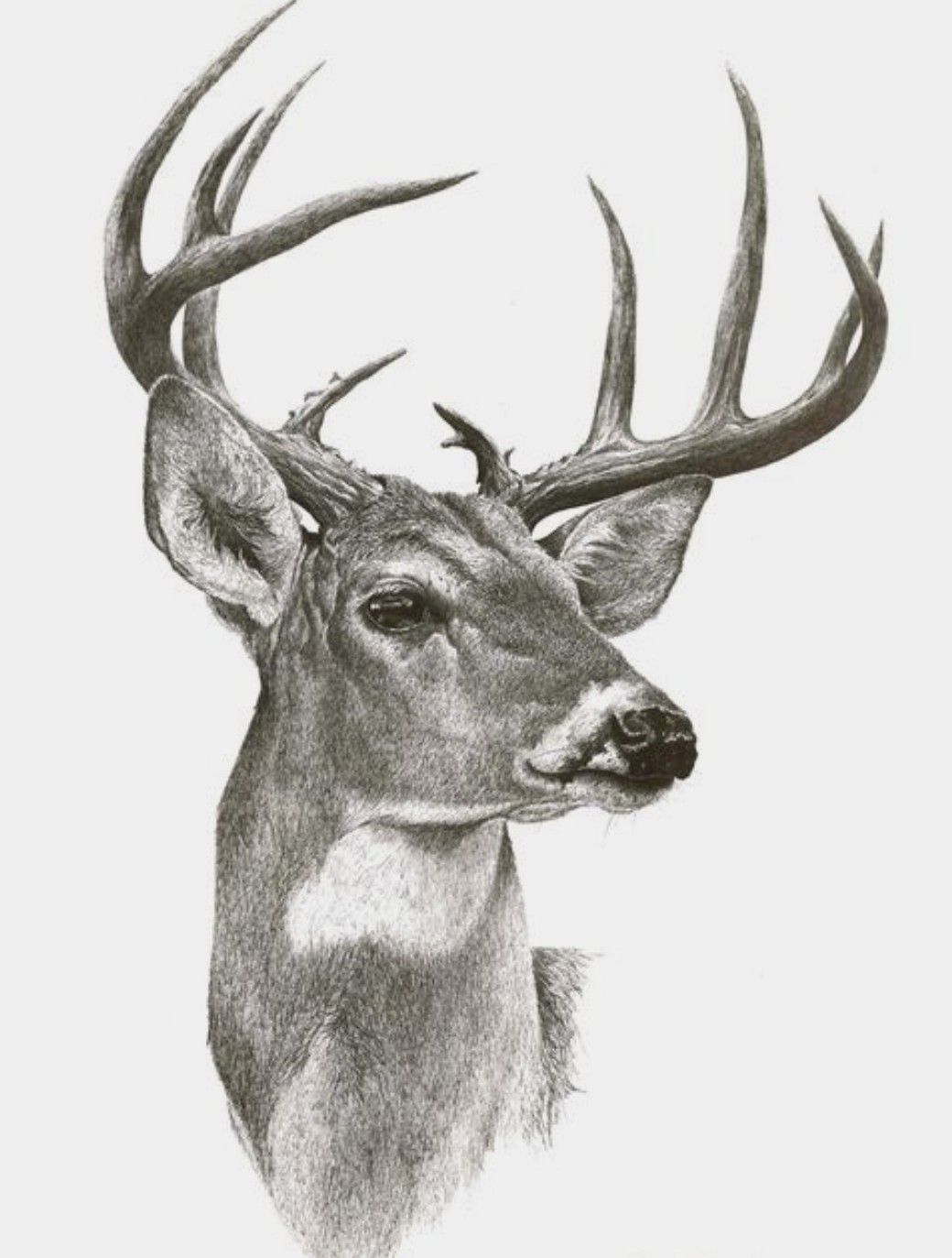 elk tattoo ideas 0066