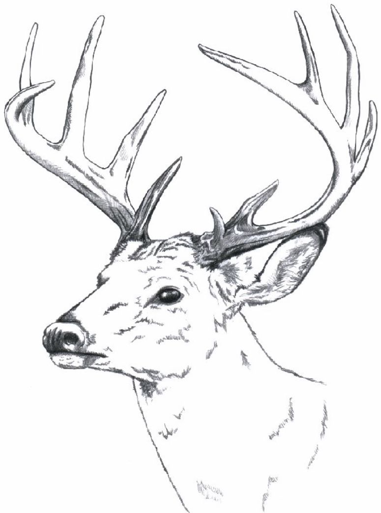 elk tattoo ideas 0072