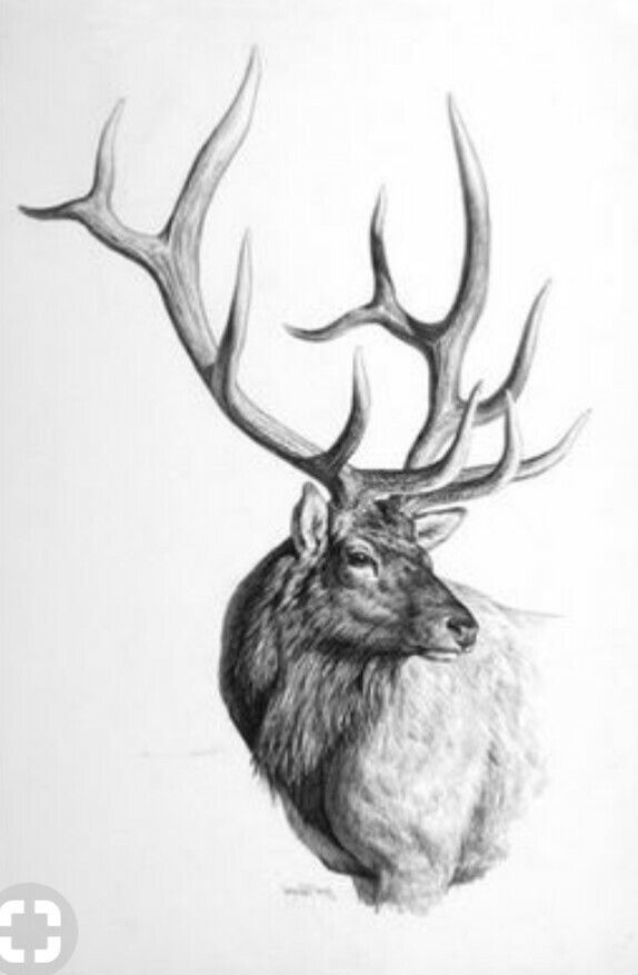 elk tattoo ideas 0078