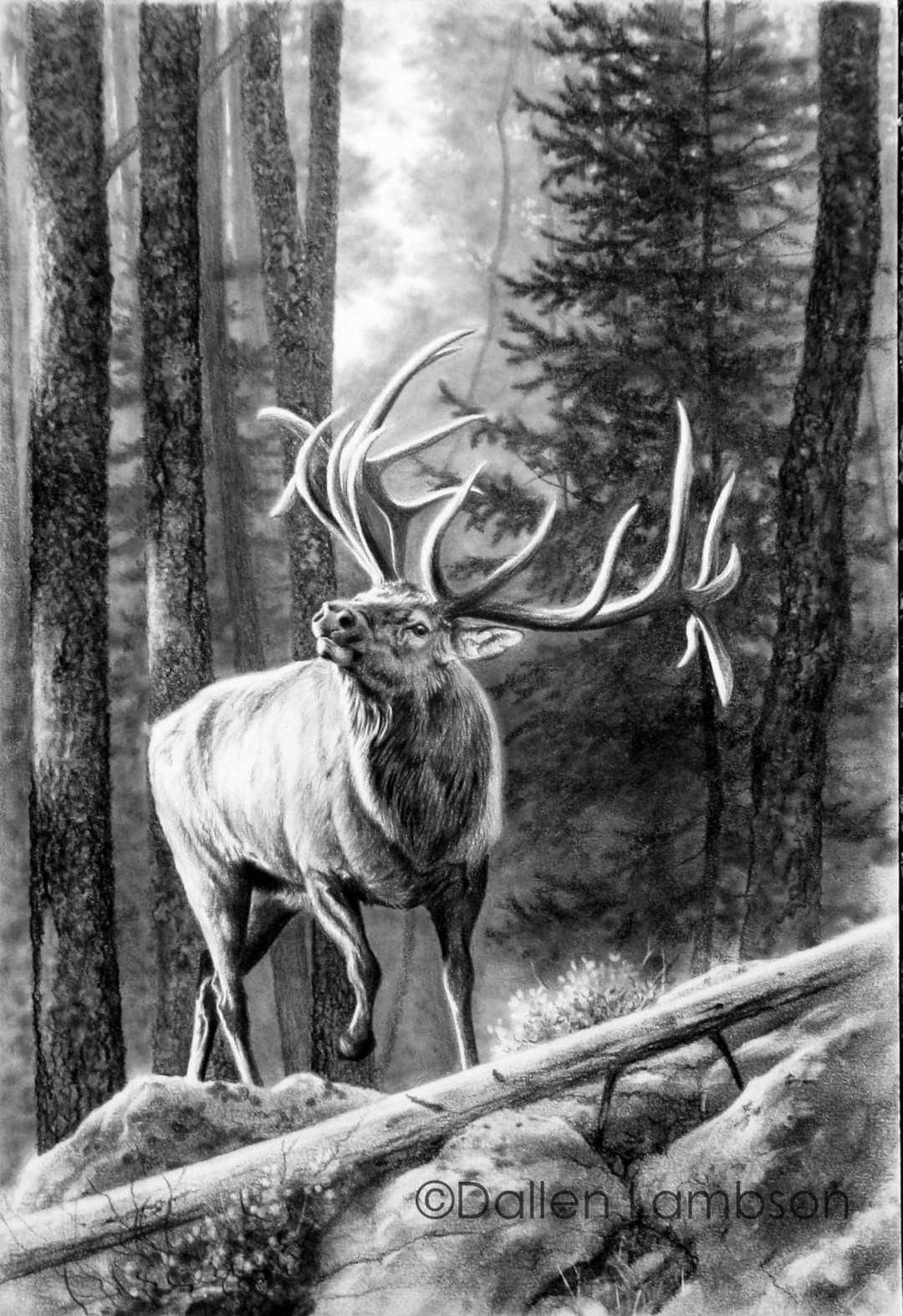 elk tattoo ideas 0083