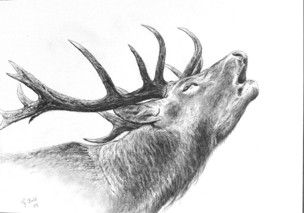 elk tattoo ideas 0095