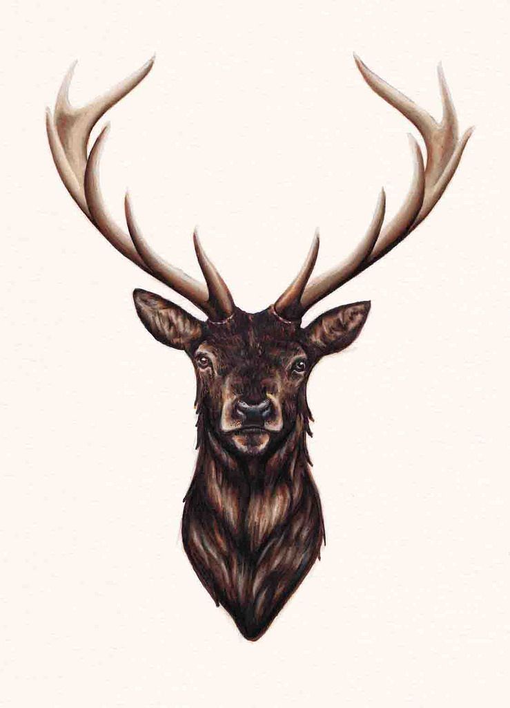 elk tattoo ideas 0096