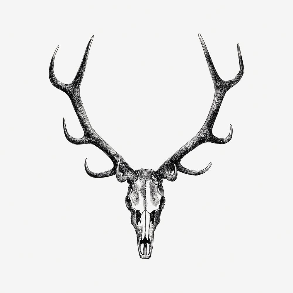 elk tattoo ideas 0097