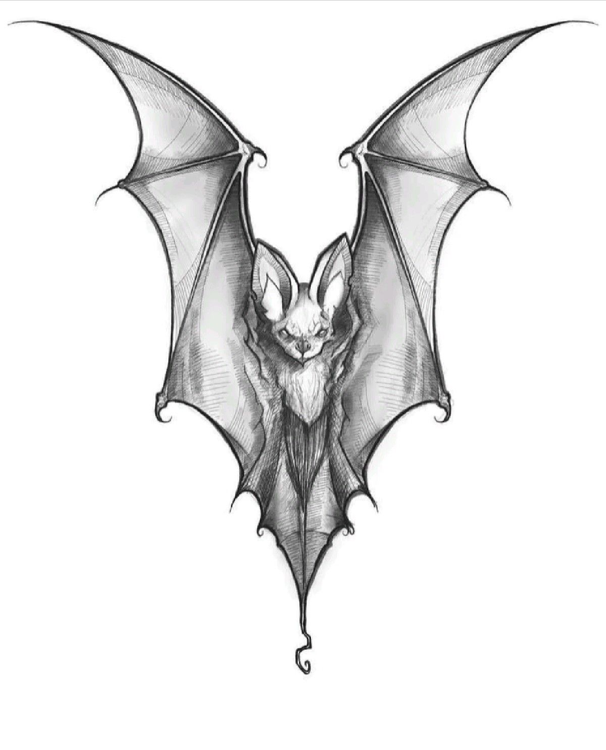 fashionable small bat tattoo variations