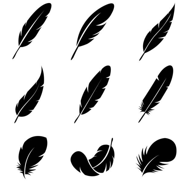 feather tattoo ideas 0027