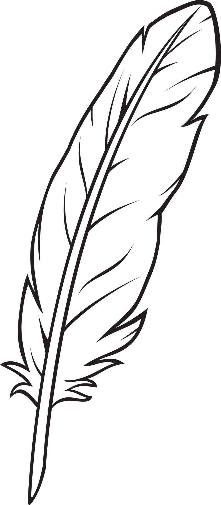 feather tattoo ideas 0029