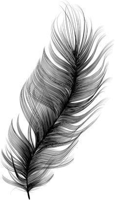 feather tattoo ideas 0034