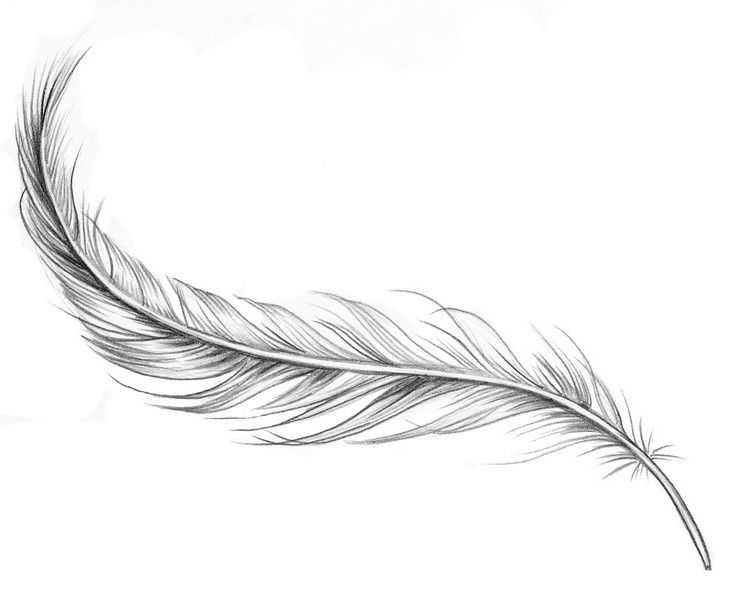 feather tattoo ideas 0040