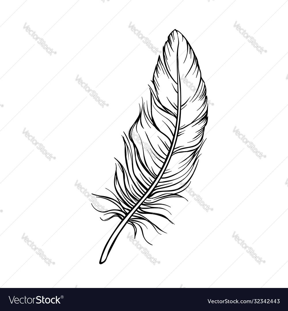 feather tattoo ideas 0096