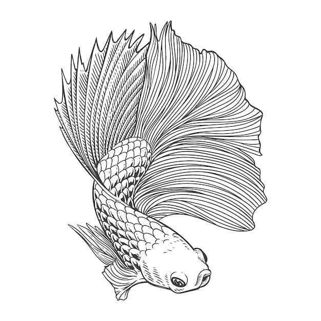 fish tattoo ideas 0056