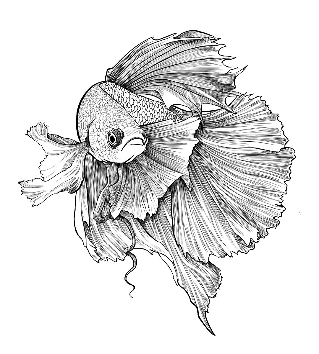 fish tattoo ideas 0075