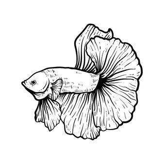 fish tattoo ideas 0096