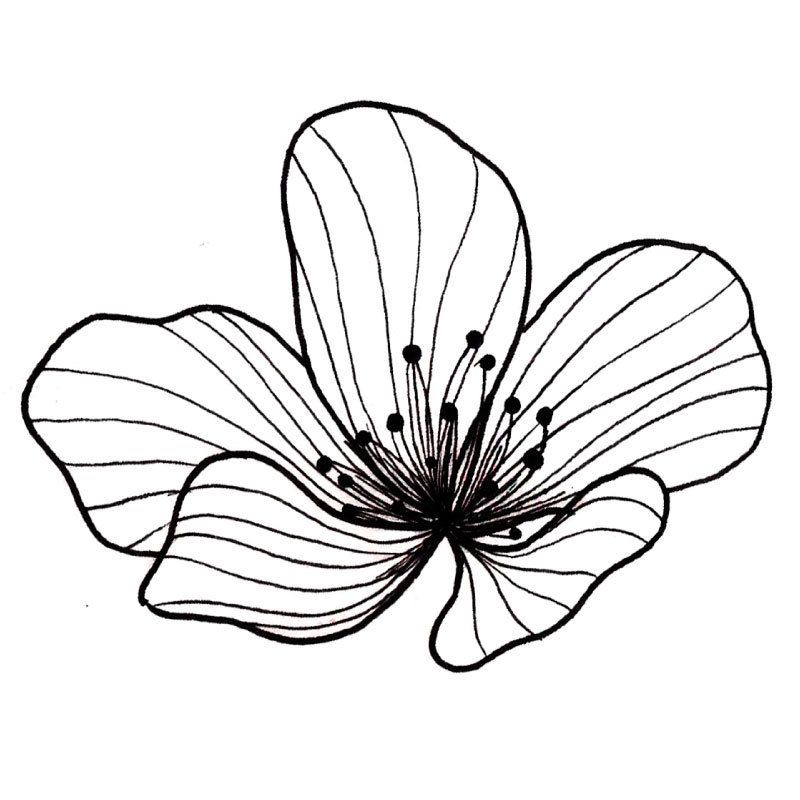 flower tattoo ideas 0054