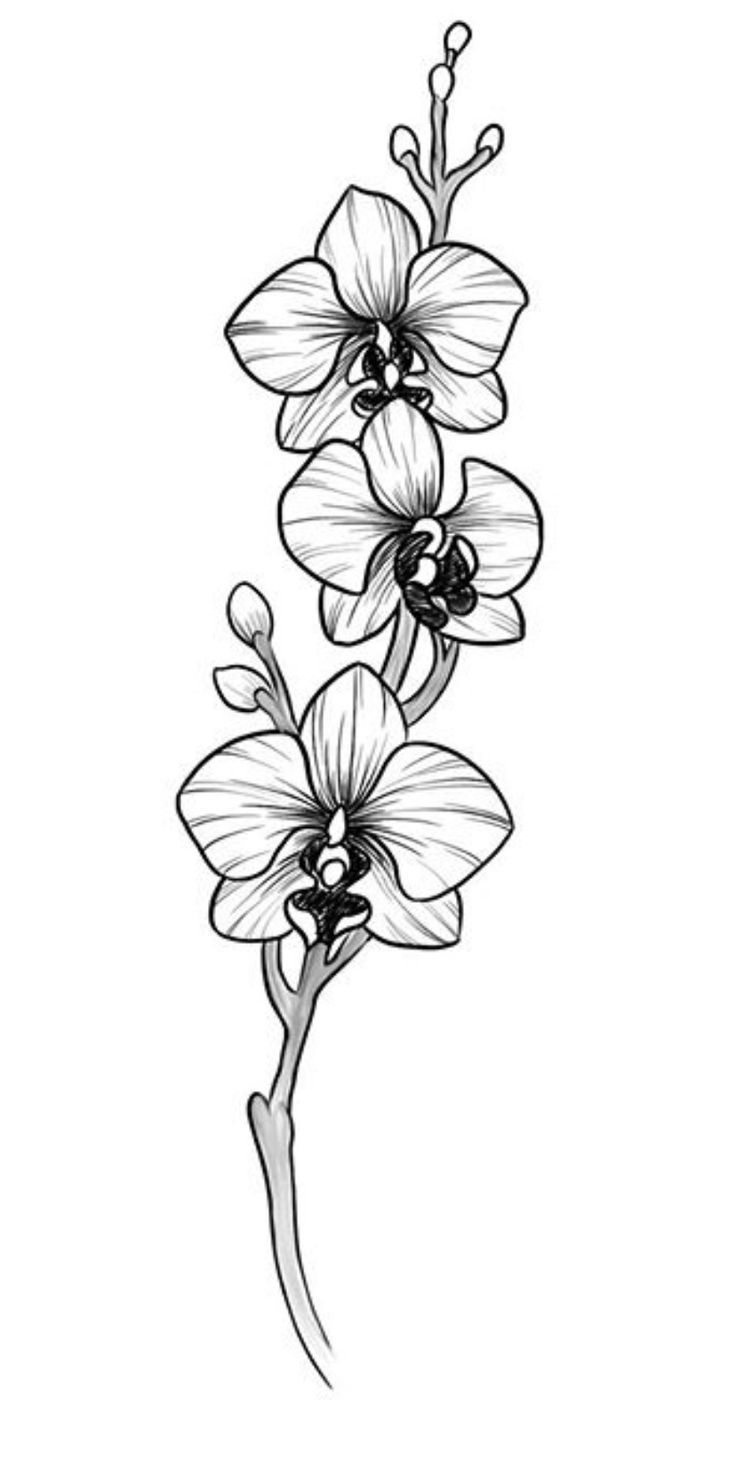 flower tattoo ideas 0066