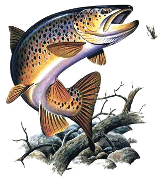 Fly fishing tattoo ideas 0028