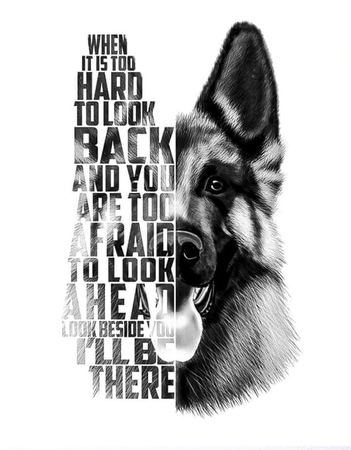 german shepherd tattoo ideas 0018