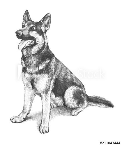 german shepherd tattoo ideas 0027