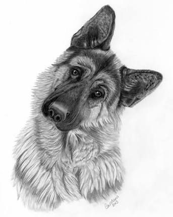 german shepherd tattoo ideas 0042