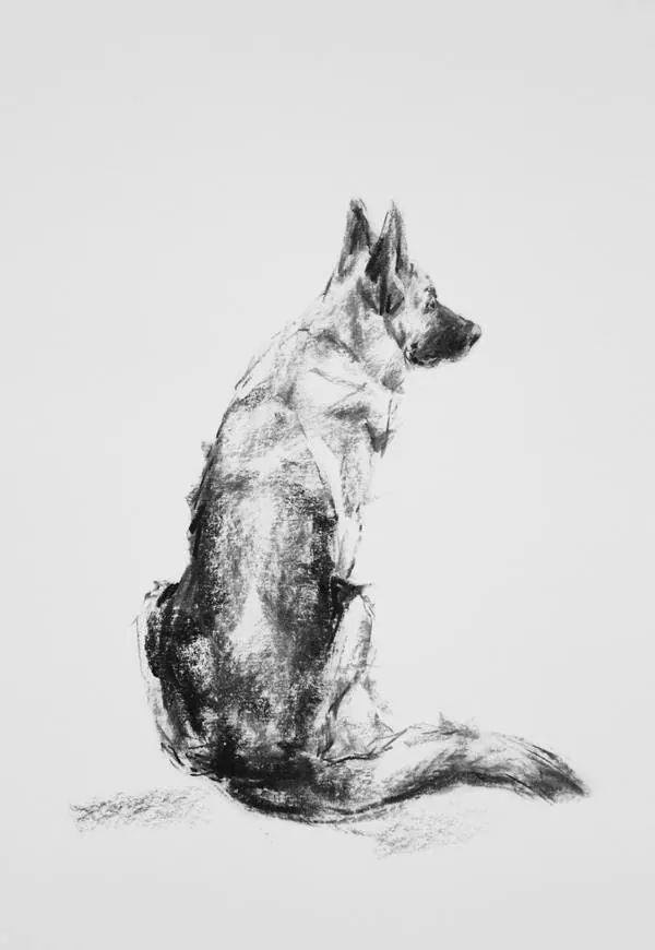 german shepherd tattoo ideas 0046