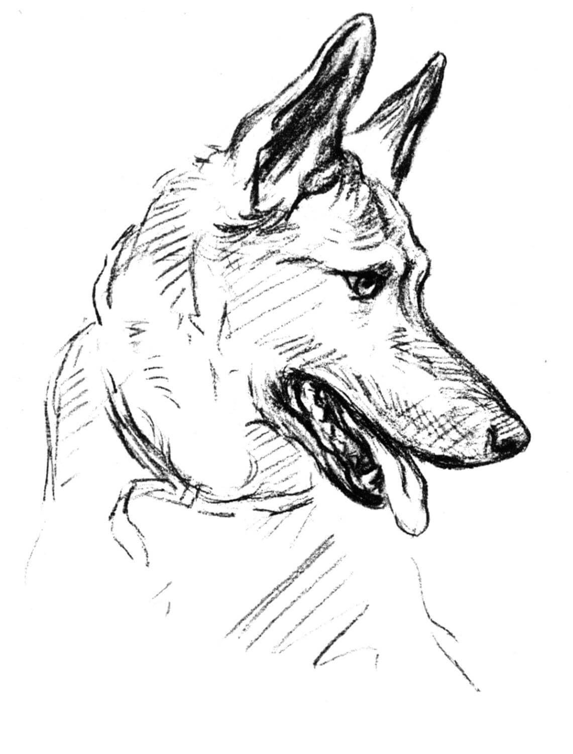 german shepherd tattoo ideas 0048