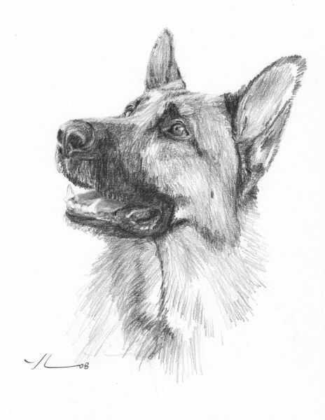 german shepherd tattoo ideas 0052