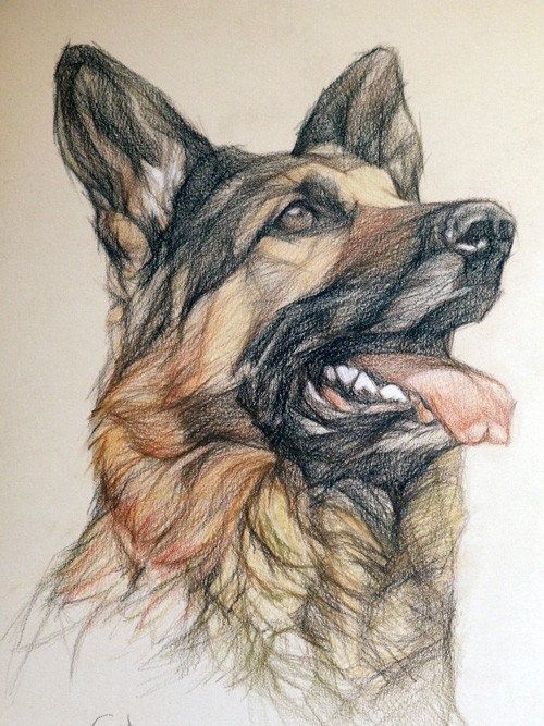 german shepherd tattoo ideas 0053