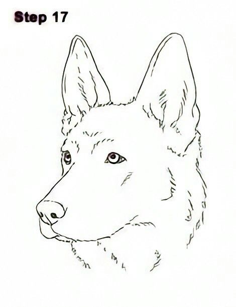 german shepherd tattoo ideas 0060