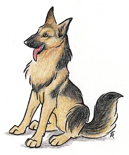 german shepherd tattoo ideas 0064