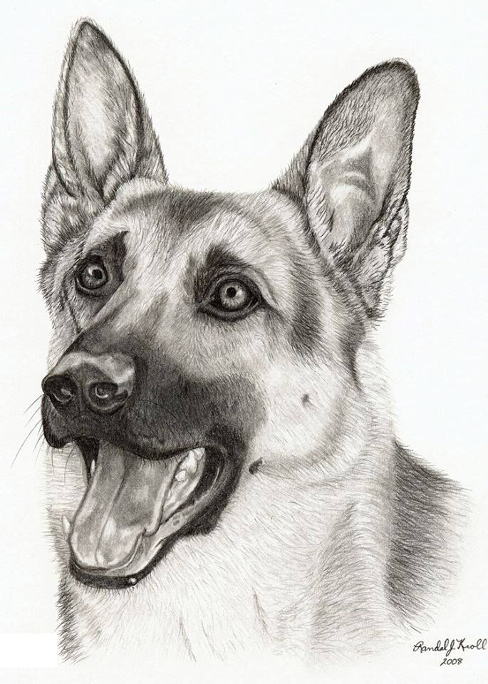 german shepherd tattoo ideas 0079