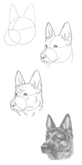 german shepherd tattoo ideas 0090