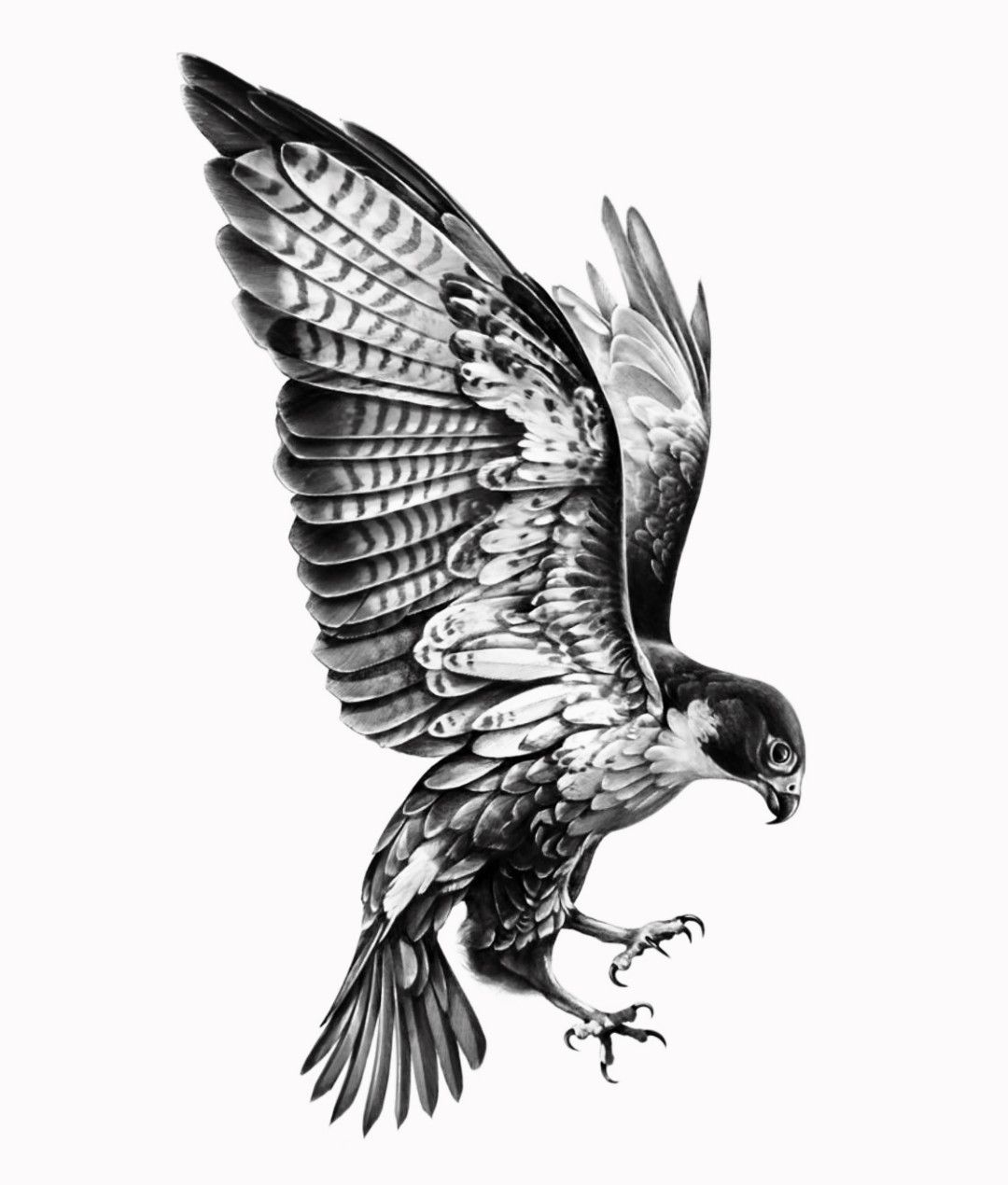 hawk tattoo ideas 0021