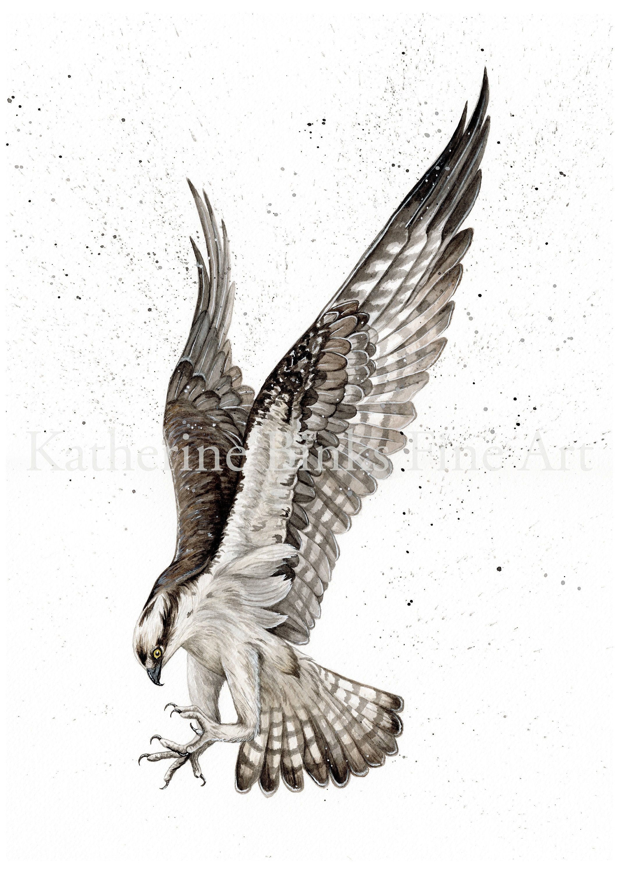 hawk tattoo ideas 0022