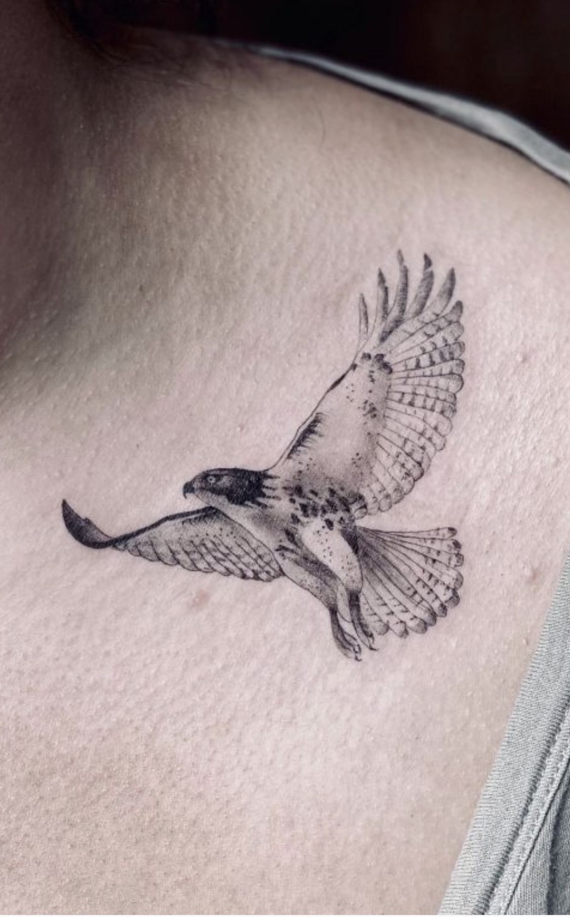 hawk tattoo ideas 0028