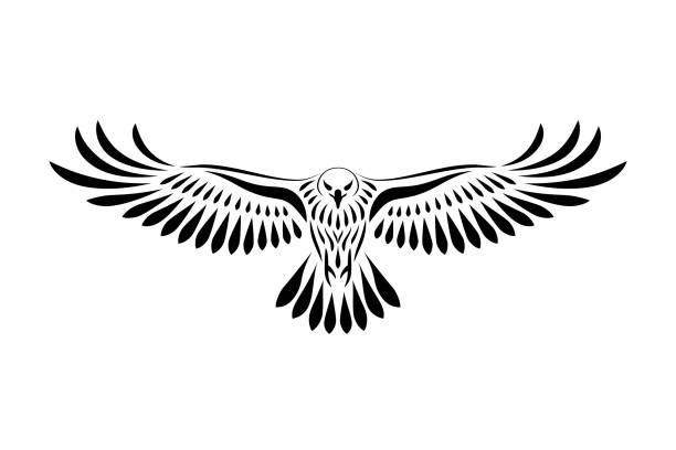 hawk tattoo ideas 0031