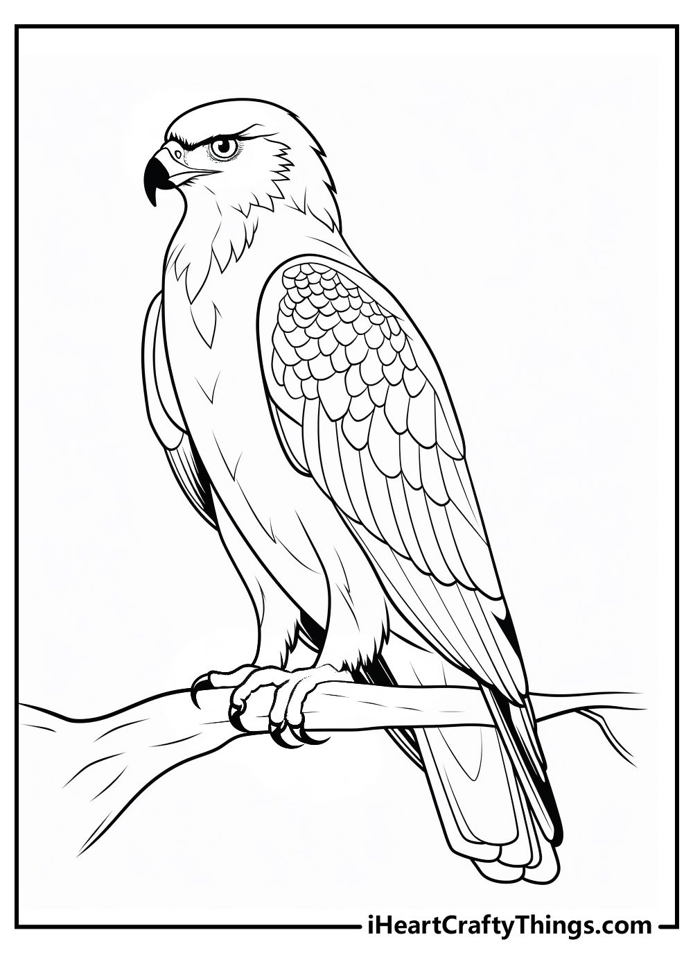 hawk tattoo ideas 0035