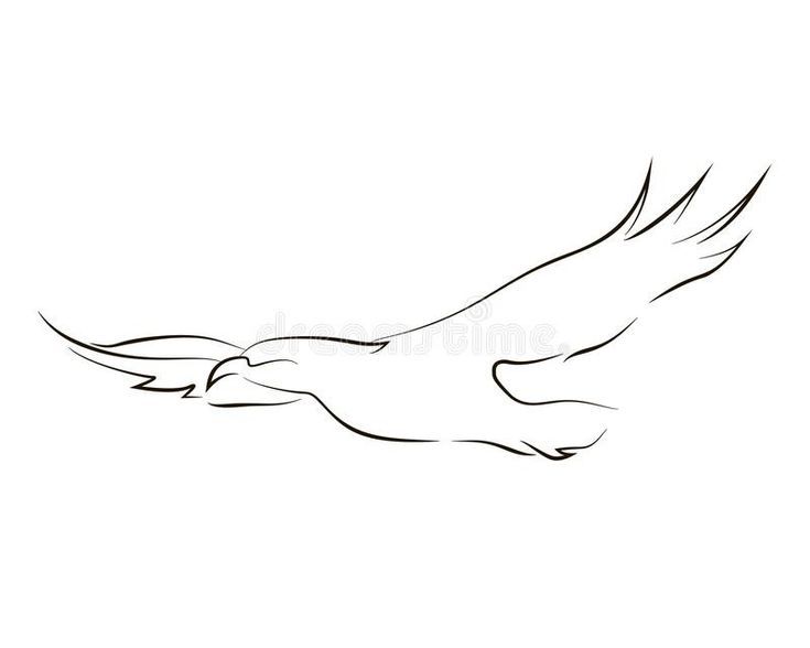 hawk tattoo ideas 0036