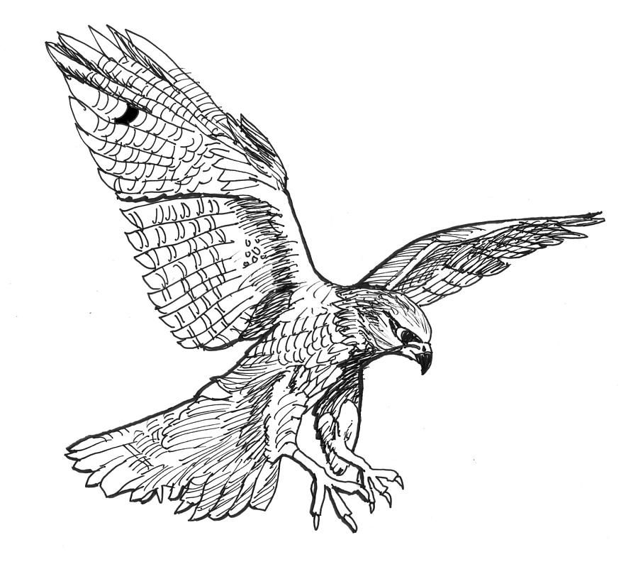 hawk tattoo ideas 0069