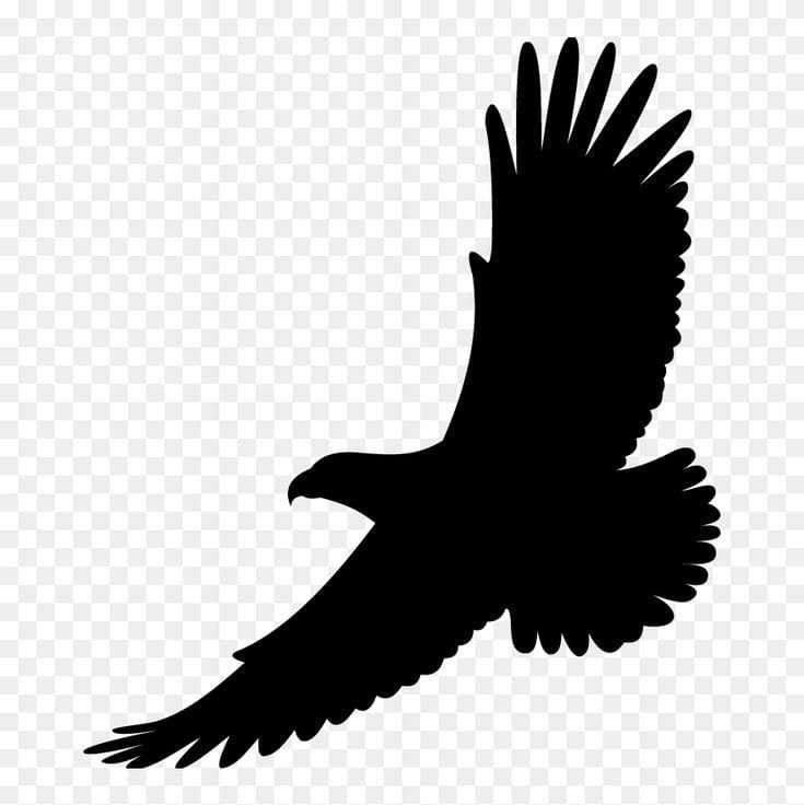 hawk tattoo ideas 0078