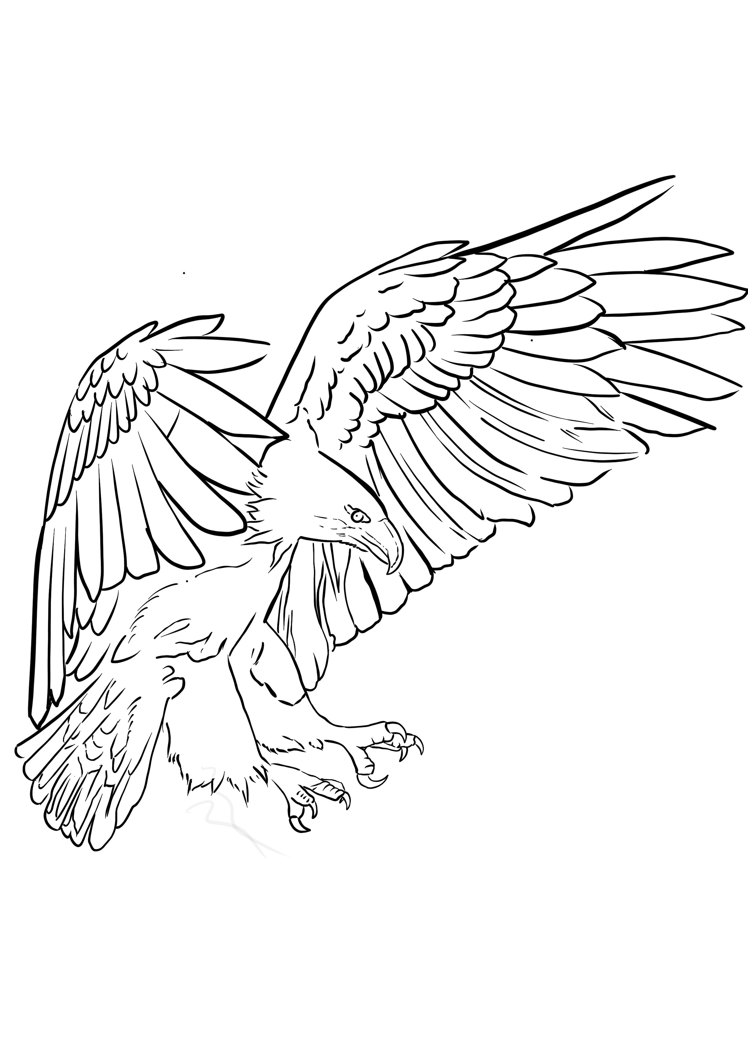 hawk tattoo ideas 0096