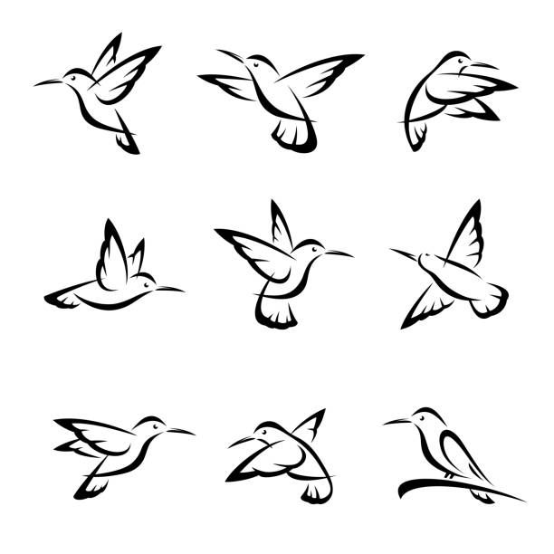 hummingbird tattoo ideas 0017