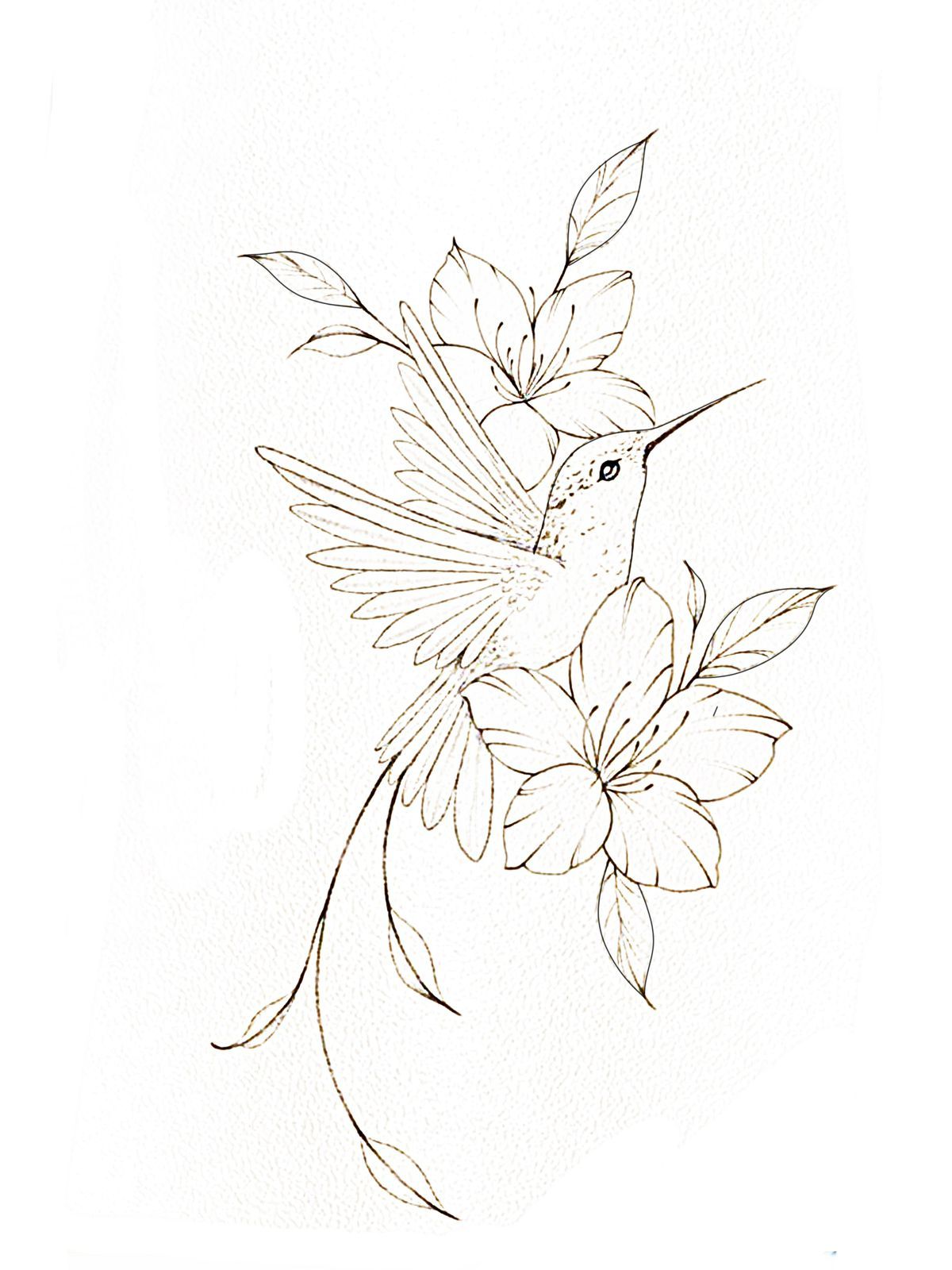 hummingbird tattoo ideas 0020