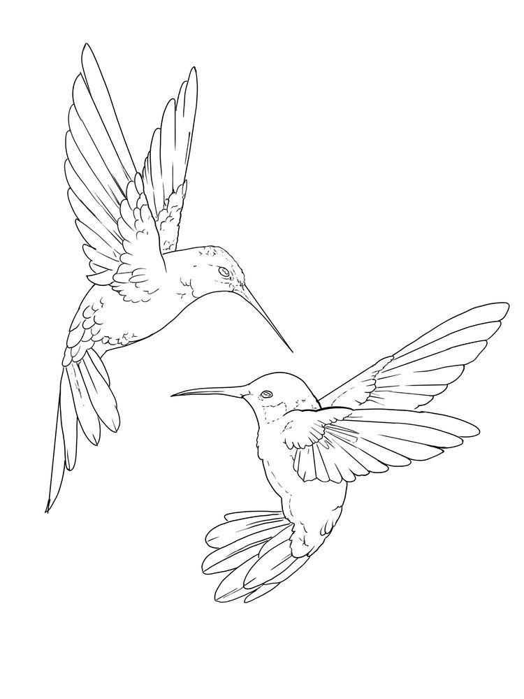 hummingbird tattoo ideas 0028