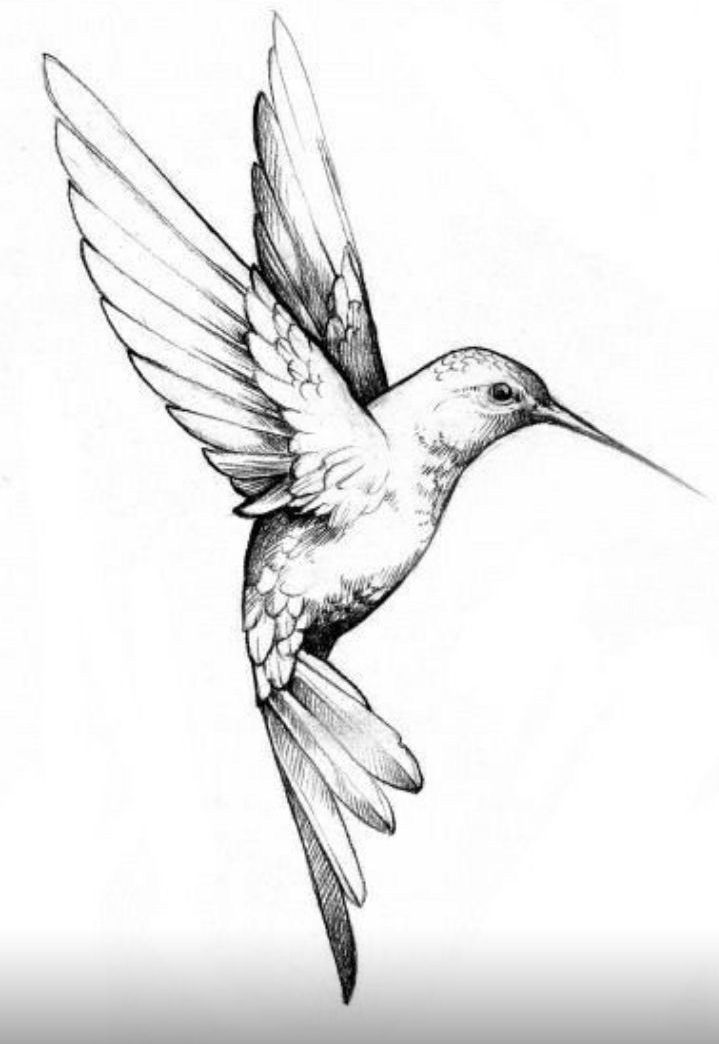 hummingbird tattoo ideas 0030