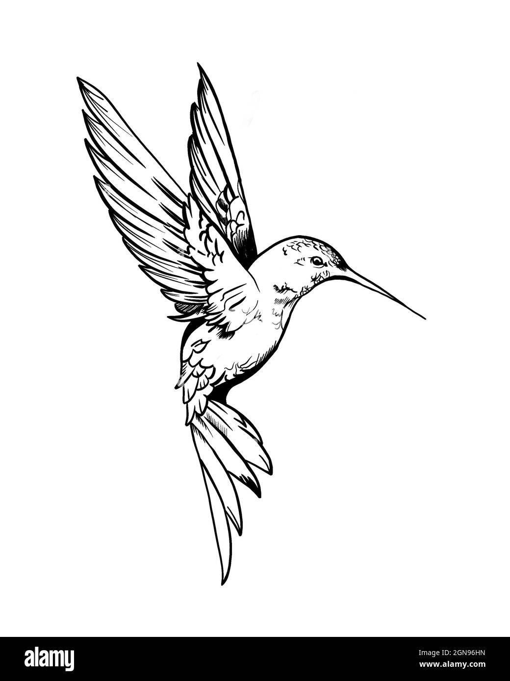 hummingbird tattoo ideas 0031