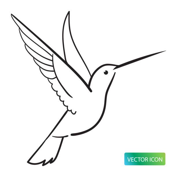 hummingbird tattoo ideas 0035