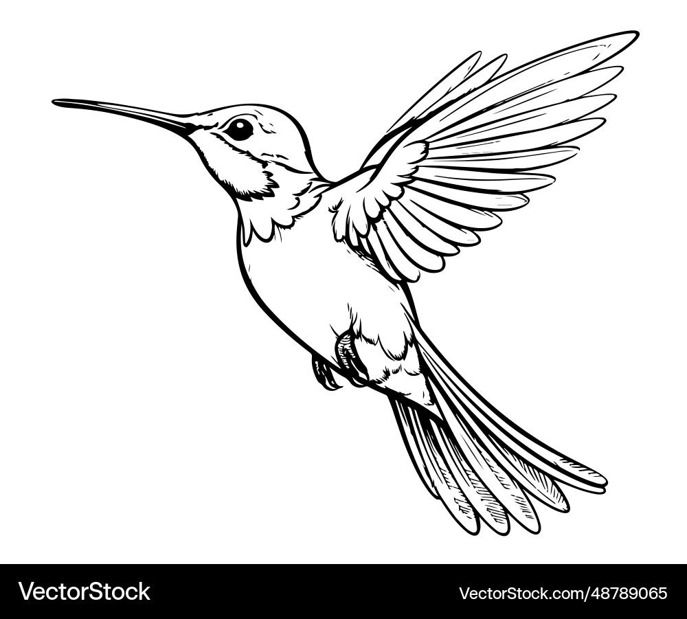 hummingbird tattoo ideas 0042